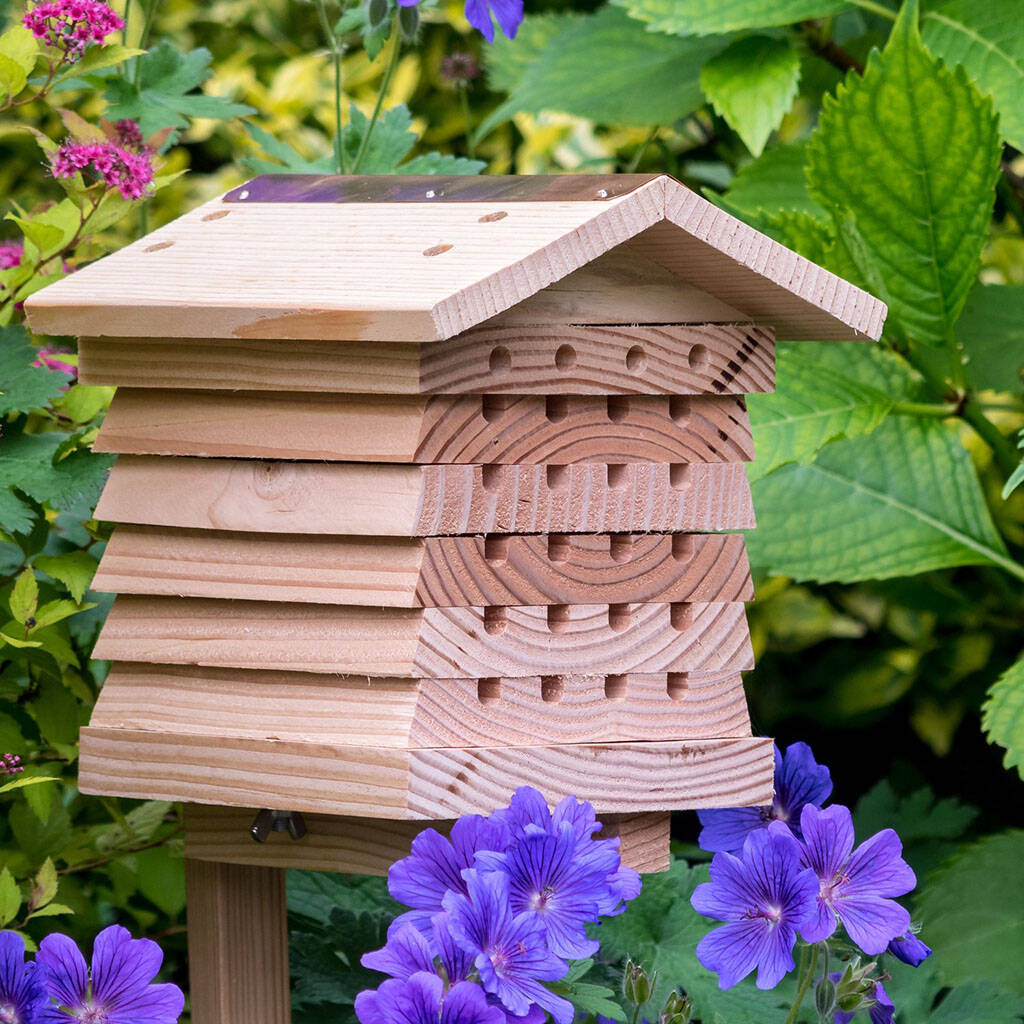 Traditional Wooden Bee Hive By Dibor