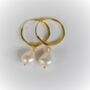 Classic Fresh Water Pearl Hoop Earrings Gold Plated, thumbnail 5 of 8