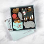 Cat Lover Iced Biscuit Box, thumbnail 1 of 2