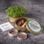 Grow Your Own Microgreens Teeny Greeny Micrology® Kit, thumbnail 6 of 12