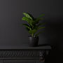 Artificial Fiddle Leaf Fig Plant, thumbnail 1 of 2