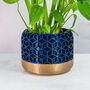 Midnight Honeycomb Planter, thumbnail 1 of 4