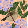Chiffchaff Bird Art Print, thumbnail 4 of 5