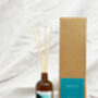 Seasalt And Driftwood “Coast” Scented Reed Diffuser, thumbnail 3 of 4