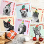 Christmas Pets Dogs And Cats Card Pack, thumbnail 1 of 9