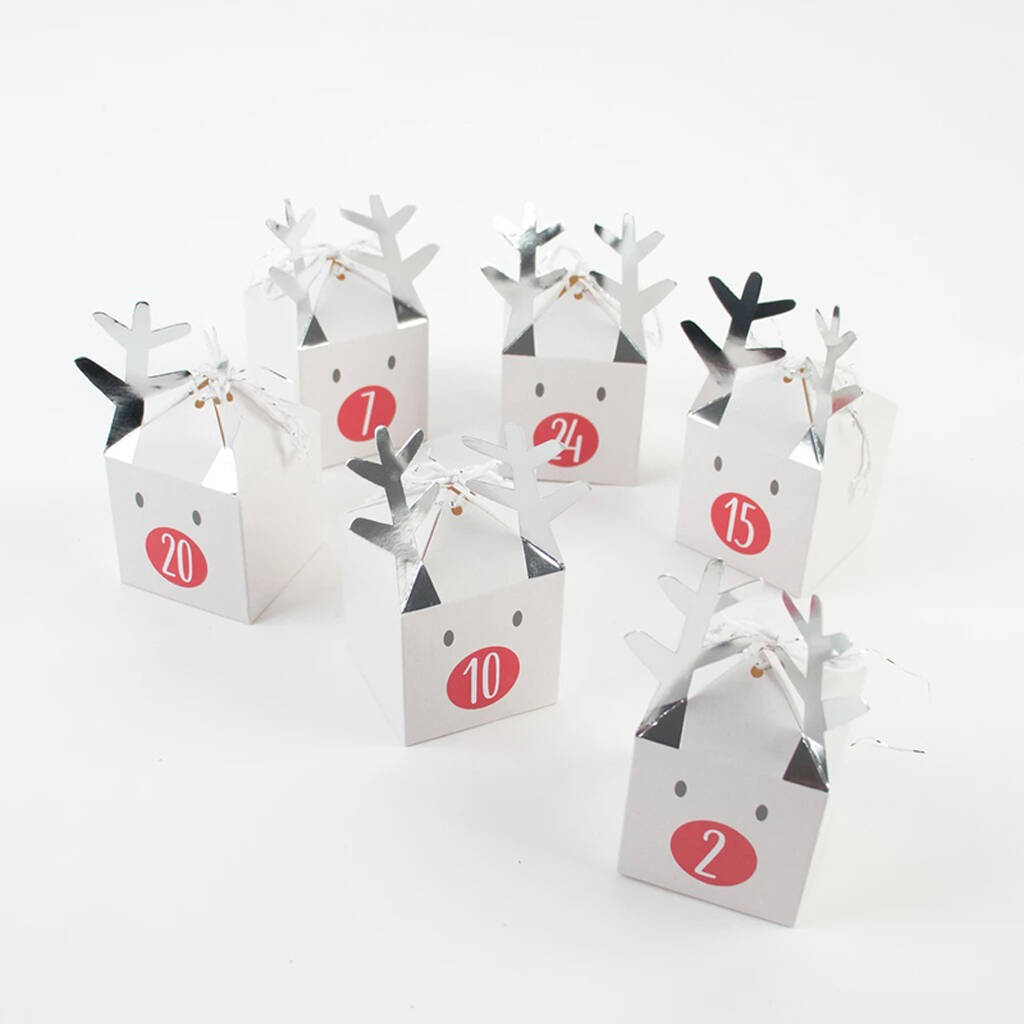 Reindeer Boxes Advent Calendar, 1 of 4