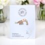 Prawn Shrimp Hard Enamel Pin Badge, Unusual Friendship Gift, Seafood, Sea Life Brooch, Sparkling Arthropod Jewellery, thumbnail 1 of 8
