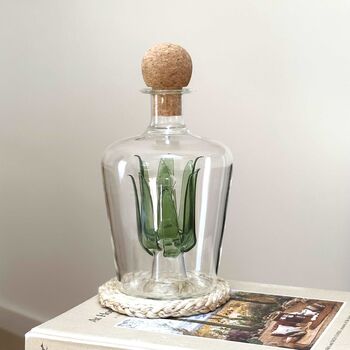 Glass Decanter Tequila Lover Gift, 2 of 7