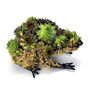 Sedum Planted Frog Sculpture, thumbnail 2 of 3