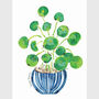 Houseplant Pilea Pepero Print, thumbnail 2 of 8