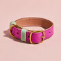Luxury Leather Dog Collar, thumbnail 1 of 12