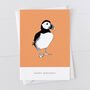 Puffin Print Gift Wrap Pack With Card Option, thumbnail 3 of 7