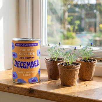 Personalised December Grow Your Own Flower Gift, 3 of 4