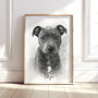 Personalised Black And White Pencil Sketch Pet Portrait, thumbnail 1 of 12