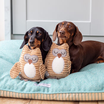 Mutts And Hounds Ollie Owl And Baxter Badger, 2 of 5