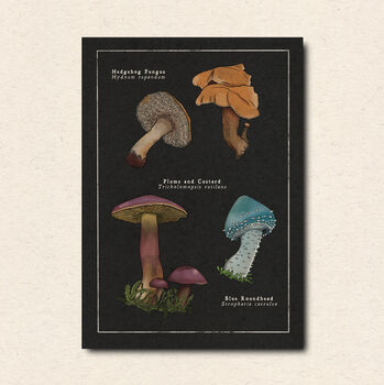 Mushroom Art Postcard Pack, 6 of 7