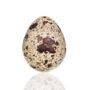 Box Of 60 Quail Egg's Natural, thumbnail 2 of 3