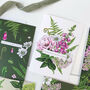 Summer Garden 'Congratulations' Botanical Card, thumbnail 1 of 2