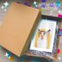 Personalised Illustration Pet Portrait Colourful Print, thumbnail 7 of 8