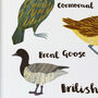'British Seabirds' Illustrated Print, thumbnail 6 of 7