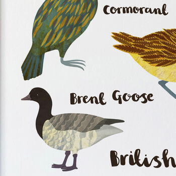 'British Seabirds' Illustrated Print, 6 of 7