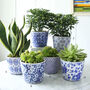 Dutch Blue Patterned Plant Pot, thumbnail 1 of 4