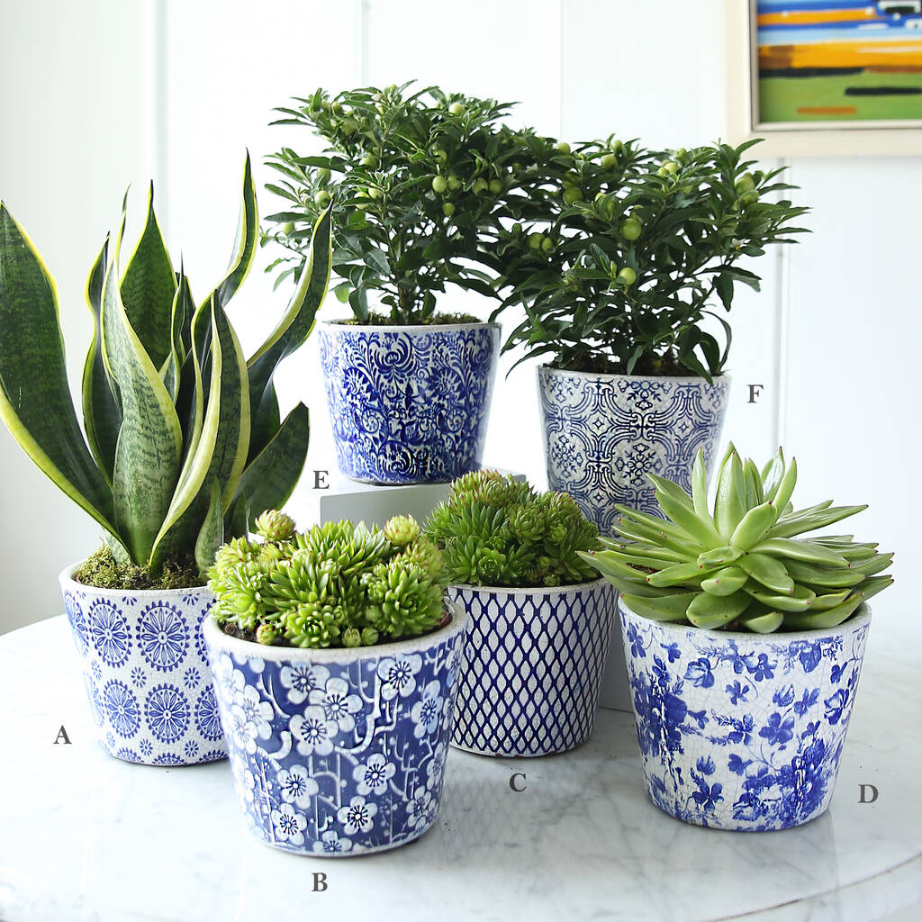 Dutch Blue Patterned Plant Pot, 1 of 4