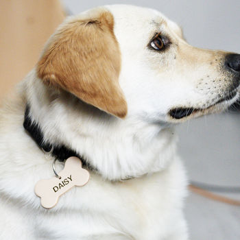 Personalised Leather Dog Name Tag, 2 of 6