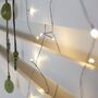 Green Wire Fairy Lights, thumbnail 2 of 3