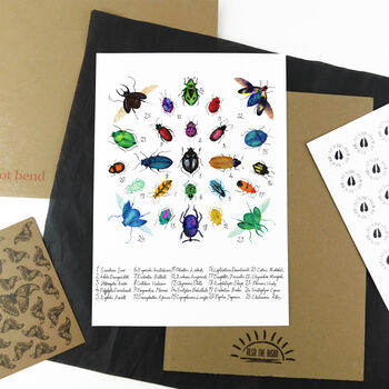 Coleoptera Beetle Art Print, 5 of 8