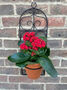 Garden Wall Planter And Flower Pot Holder Garden Decor Metal, thumbnail 1 of 9