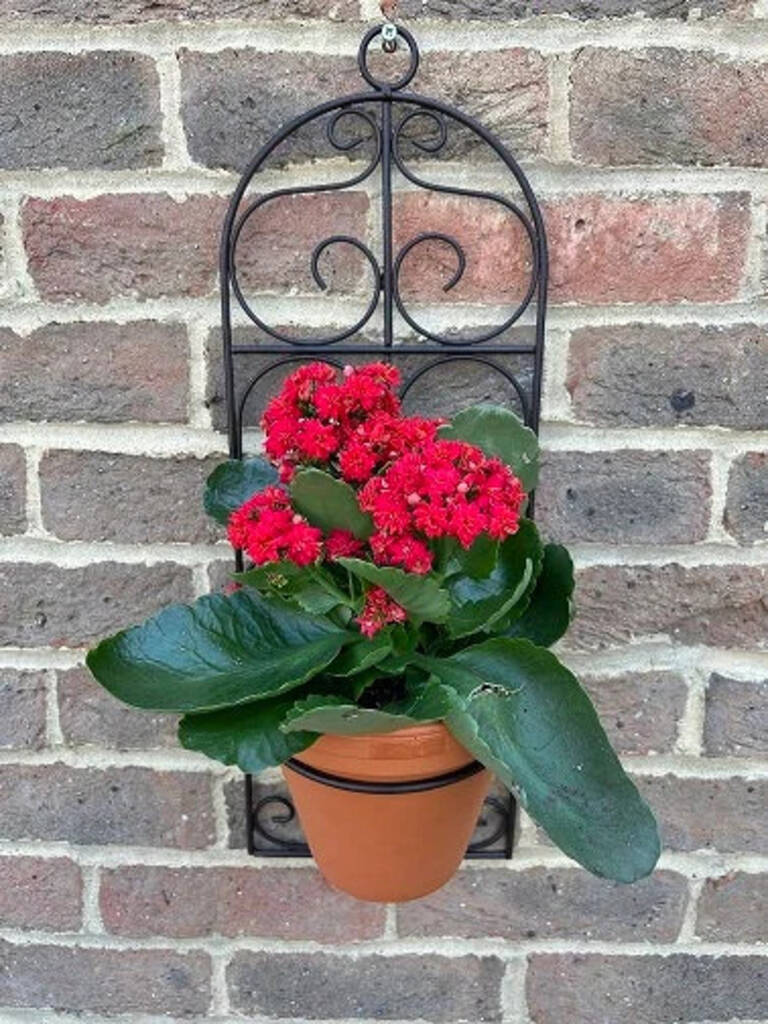 Garden Wall Planter And Flower Pot Holder Garden Decor Metal, 1 of 9
