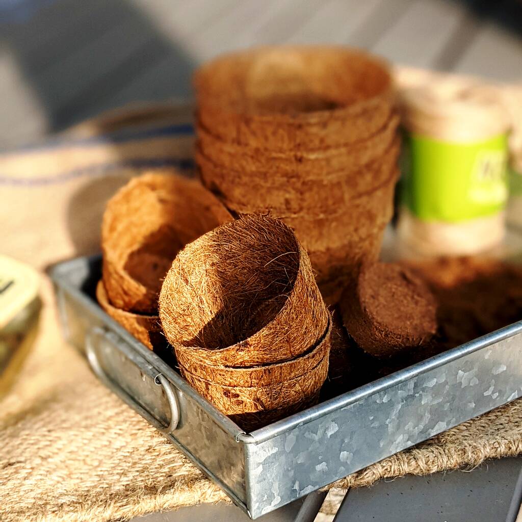 Coco Coir Pots And Coir Compost By The Danes | notonthehighstreet.com