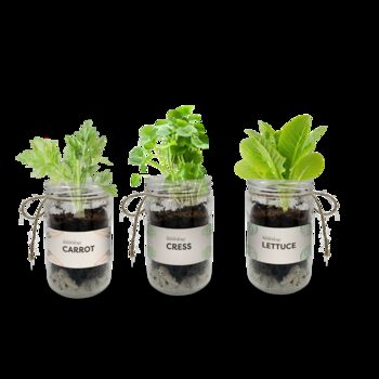 Personalised Indoor Veg Jar Garden Kit, 3 of 7