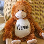 Personalised Orangutan Monkey Teddy Bear Kids Gift Toy, thumbnail 4 of 6
