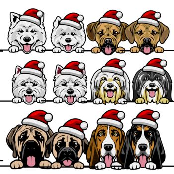 Personalised Dog Christmas Wrapping Paper, 7 of 8