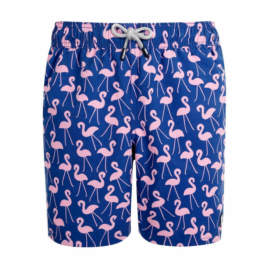 Father And Son Matching Rose Flamingo Swim Shorts By Tom and Teddy ...
