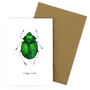 Green Beetle A6 Greetings Cards, thumbnail 5 of 7