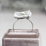 Fossil Druzy Ring Adjustable Size, thumbnail 5 of 12