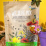 Wildflower Seed Scatter Packets – 100 Seed Balls – Perfect Gift For Garden Lovers, thumbnail 5 of 12