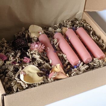 image of the product related to this review