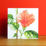 Hibiscus Greetings Card, thumbnail 1 of 4