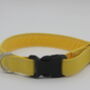 Yellow Dog Collar, thumbnail 5 of 10