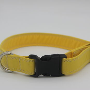 Yellow Dog Collar, 5 of 10