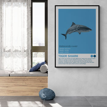 Sharks And Orca Wall Art Prints Set Of Seven, 3 of 8