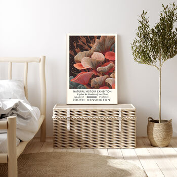 Natural History Museum Mushroom Art Print, 4 of 4
