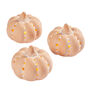 Set Of Three Terracotta Light Up Pumpkin Decorations, thumbnail 5 of 5