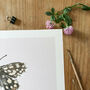 ‘Chequered Skipper’ Butterfly A5 Giclée Art Print, thumbnail 2 of 3