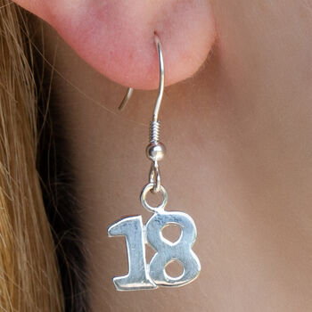 Sterling Silver 18 Charm Earrings, 3 of 6