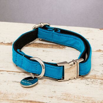 Constantine Blue Turquoise Velvet Adjustable Dog Collar, 4 of 4